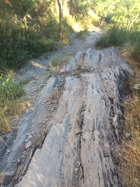Shale trail---very difficult!